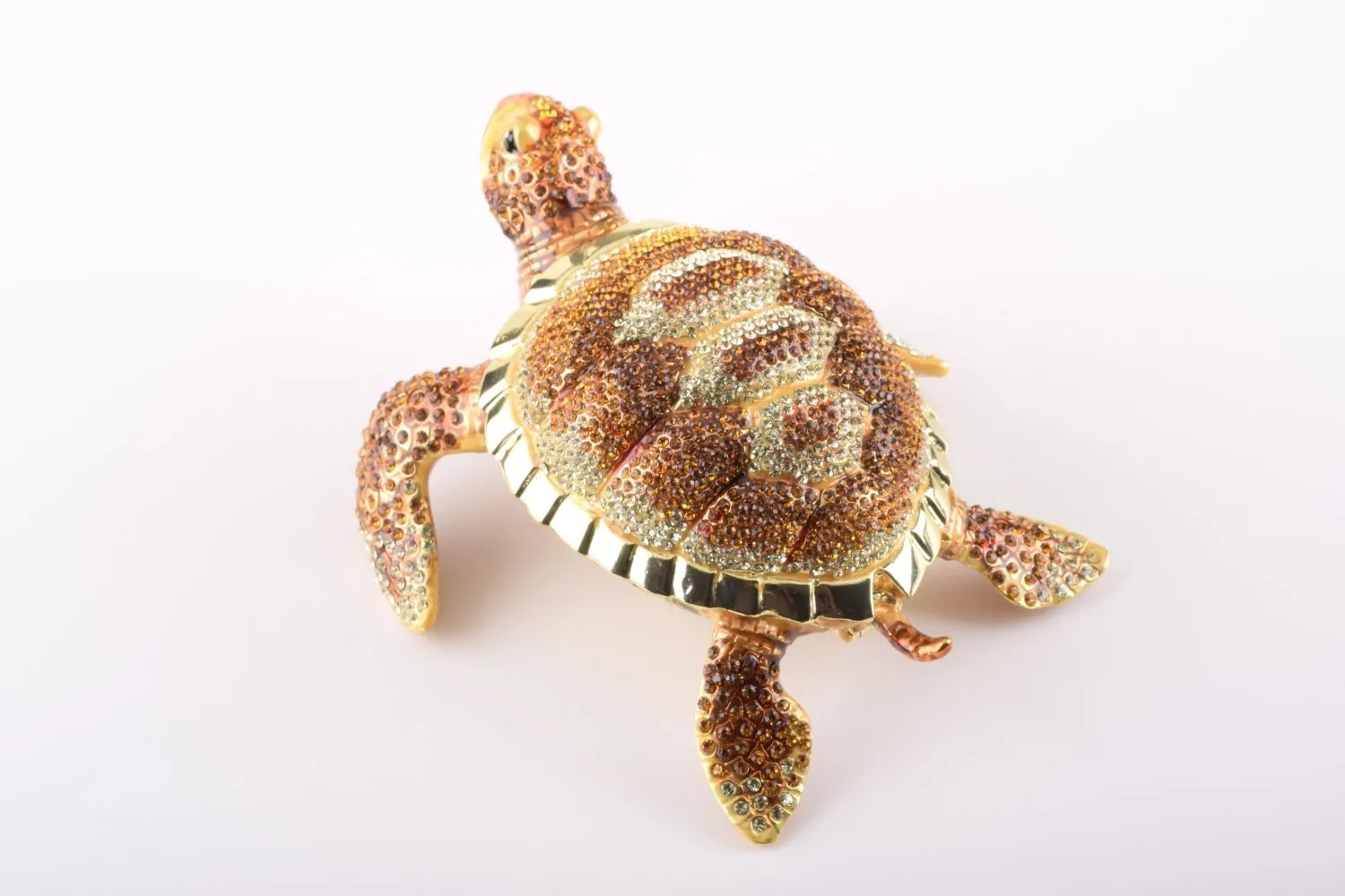 Large Brown Sea Turtle