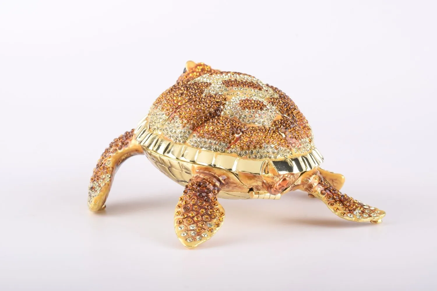 Large Brown Sea Turtle