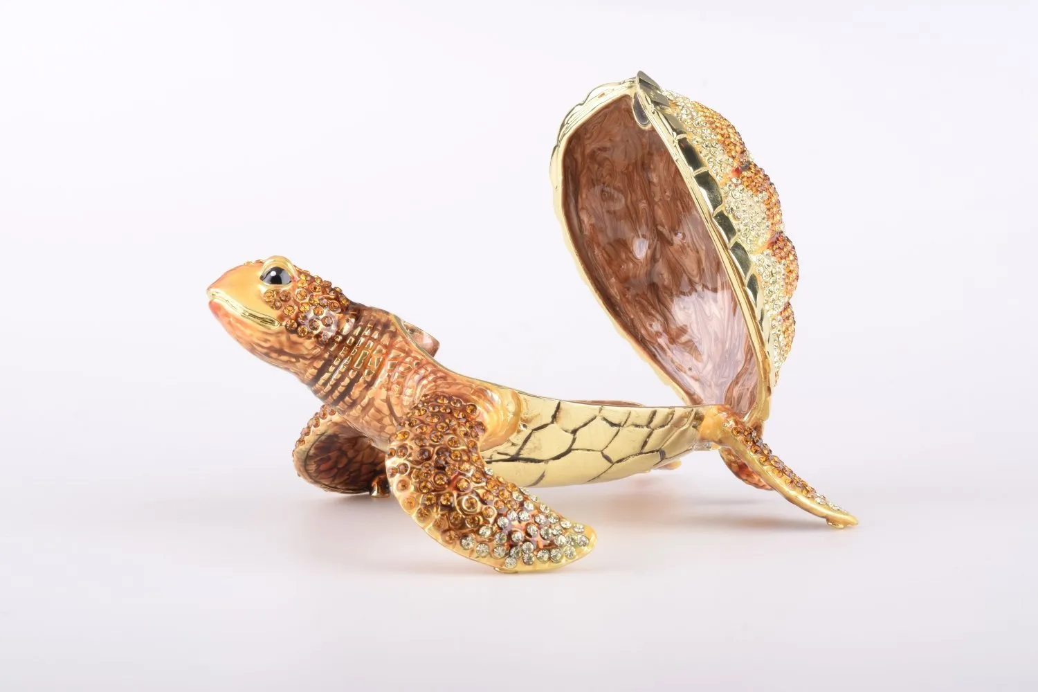 Large Brown Sea Turtle