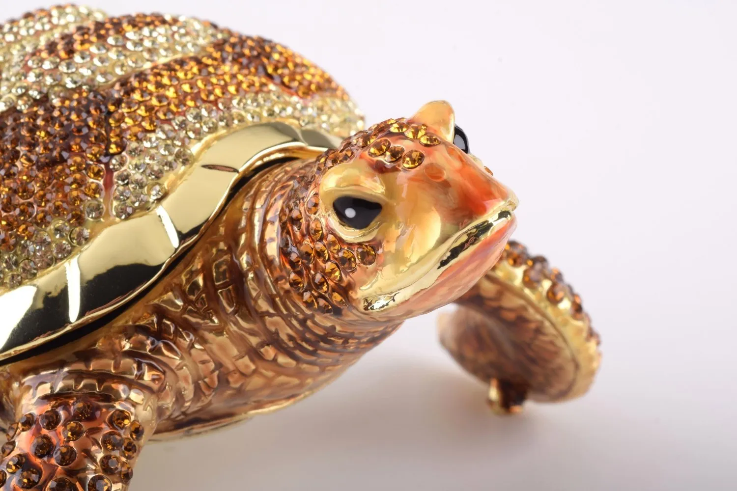 Large Brown Sea Turtle