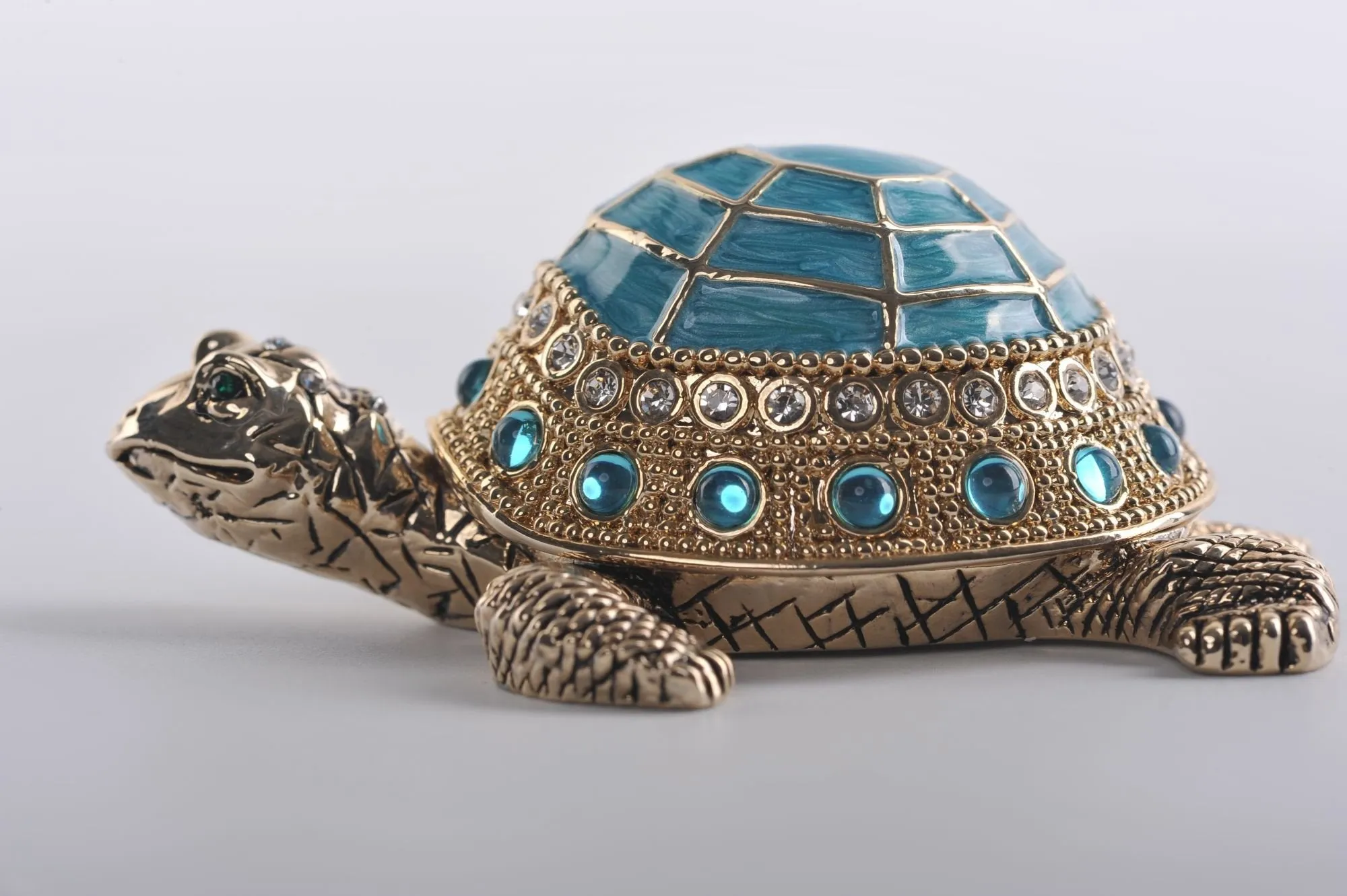 Light Blue Turtle