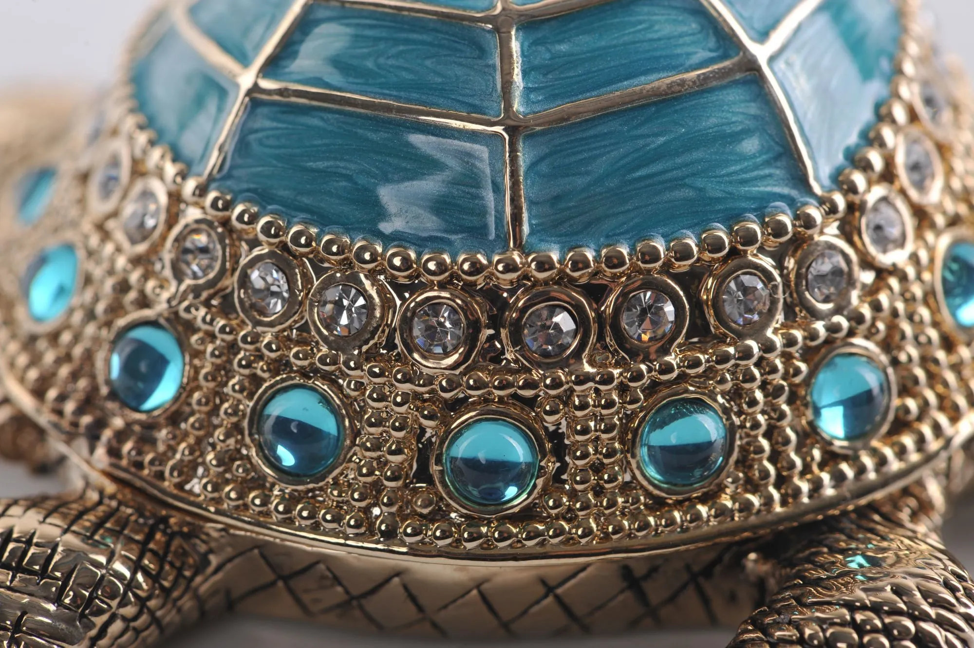 Light Blue Turtle