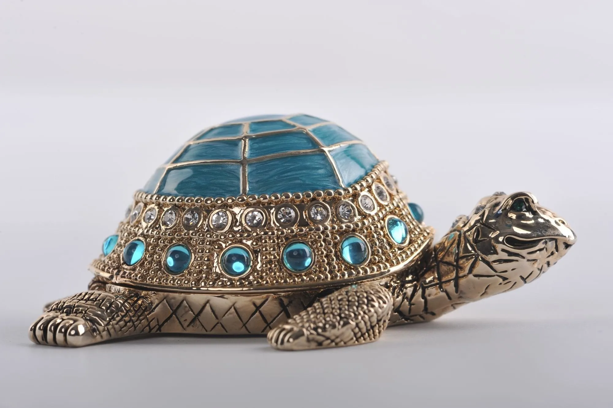 Light Blue Turtle