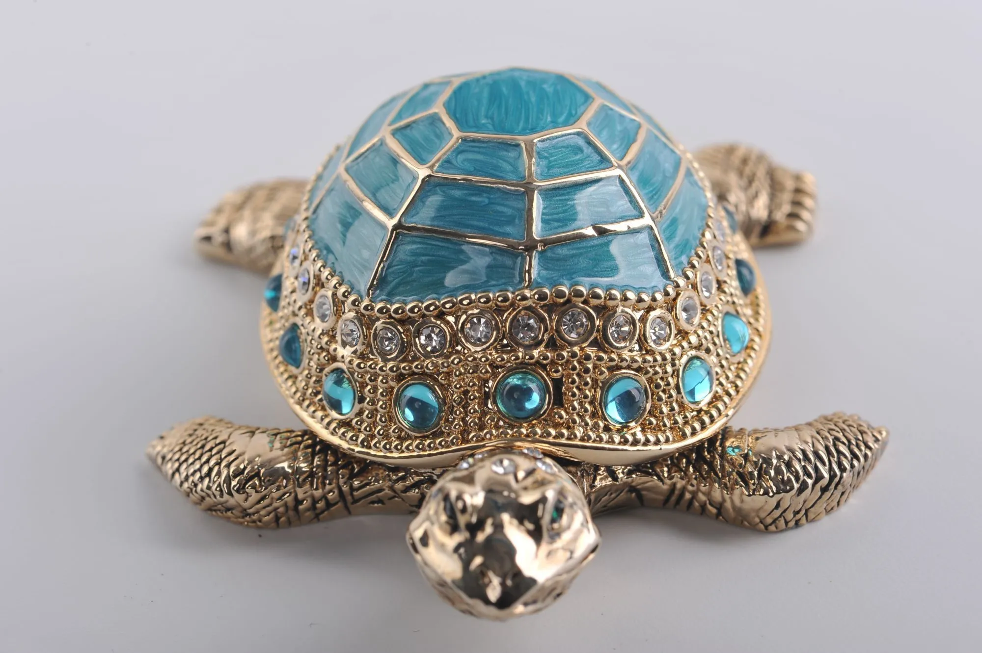 Light Blue Turtle