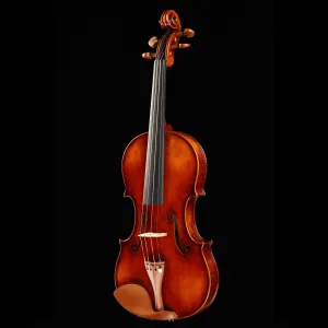 Ming Jiang Zhu MJ-500 "Master Artist" Violin, 4/4