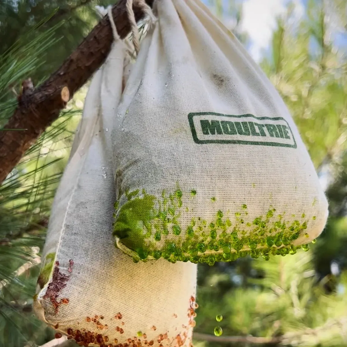 Moultrie Deer Magnet® Drip Bag Attractant