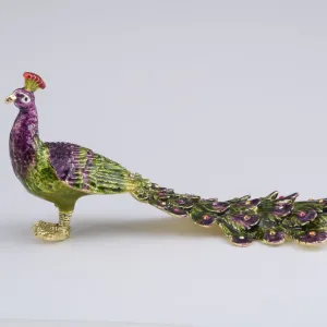 Peacock