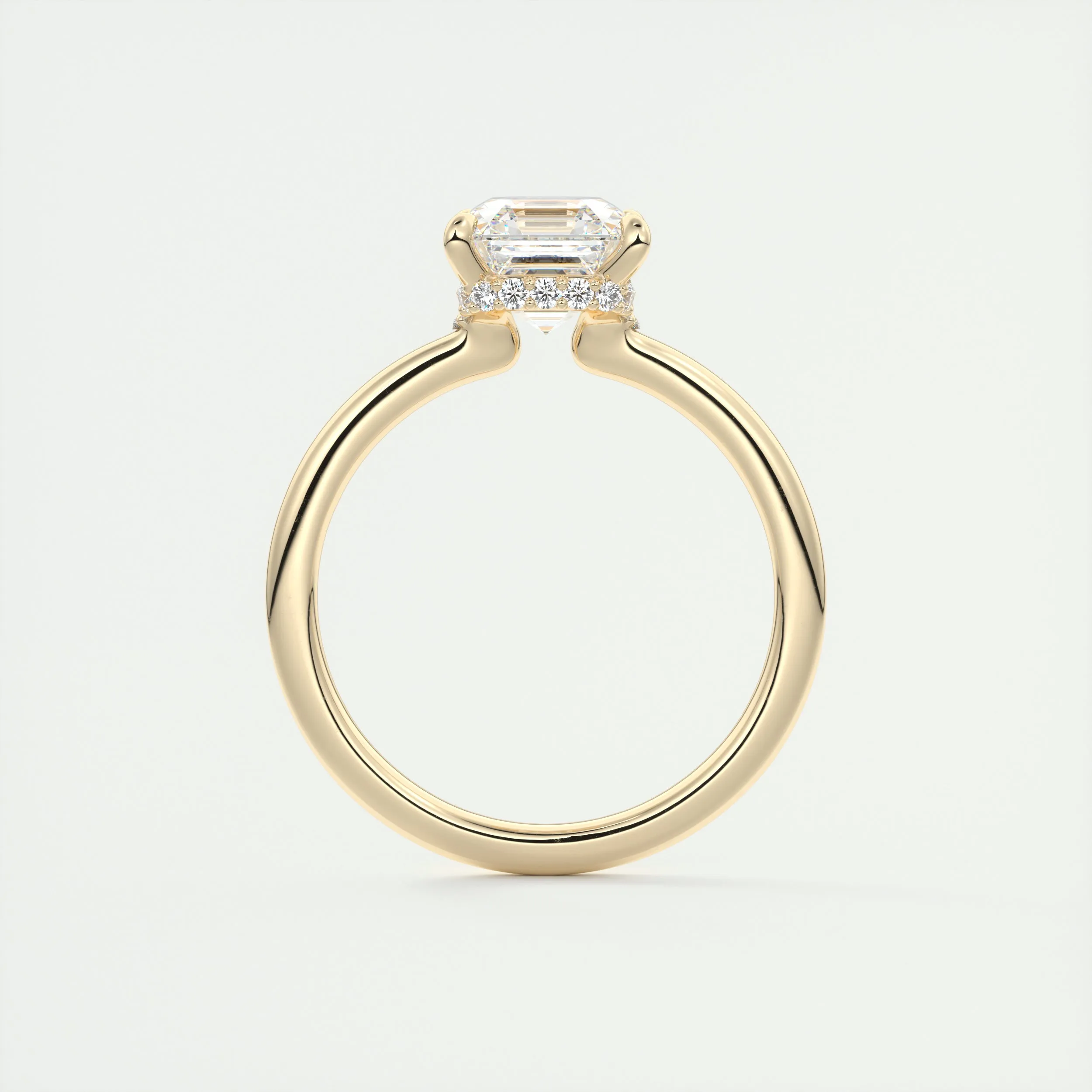 Plunge Hidden Halo | Asscher