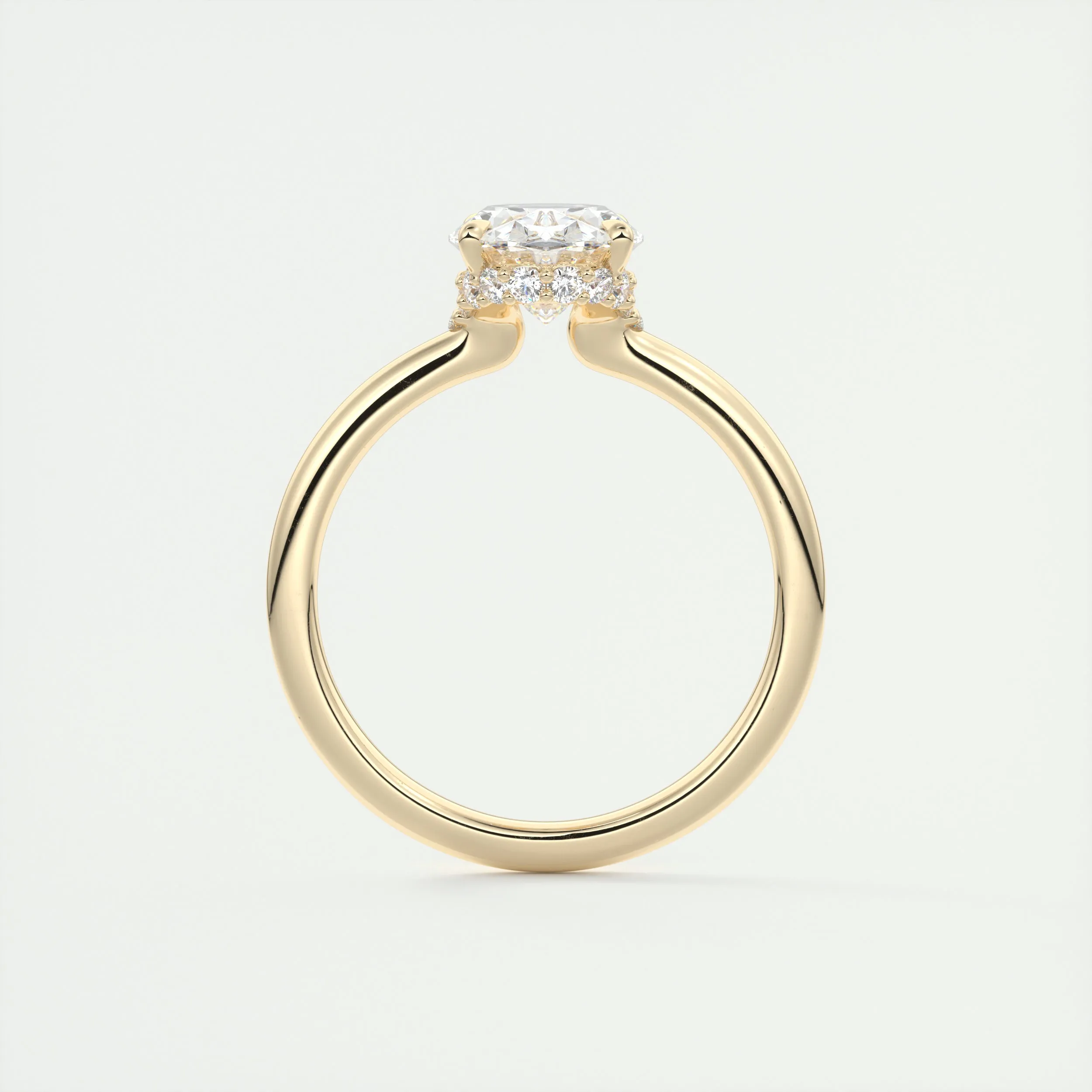 Plunge Hidden Halo | Oval