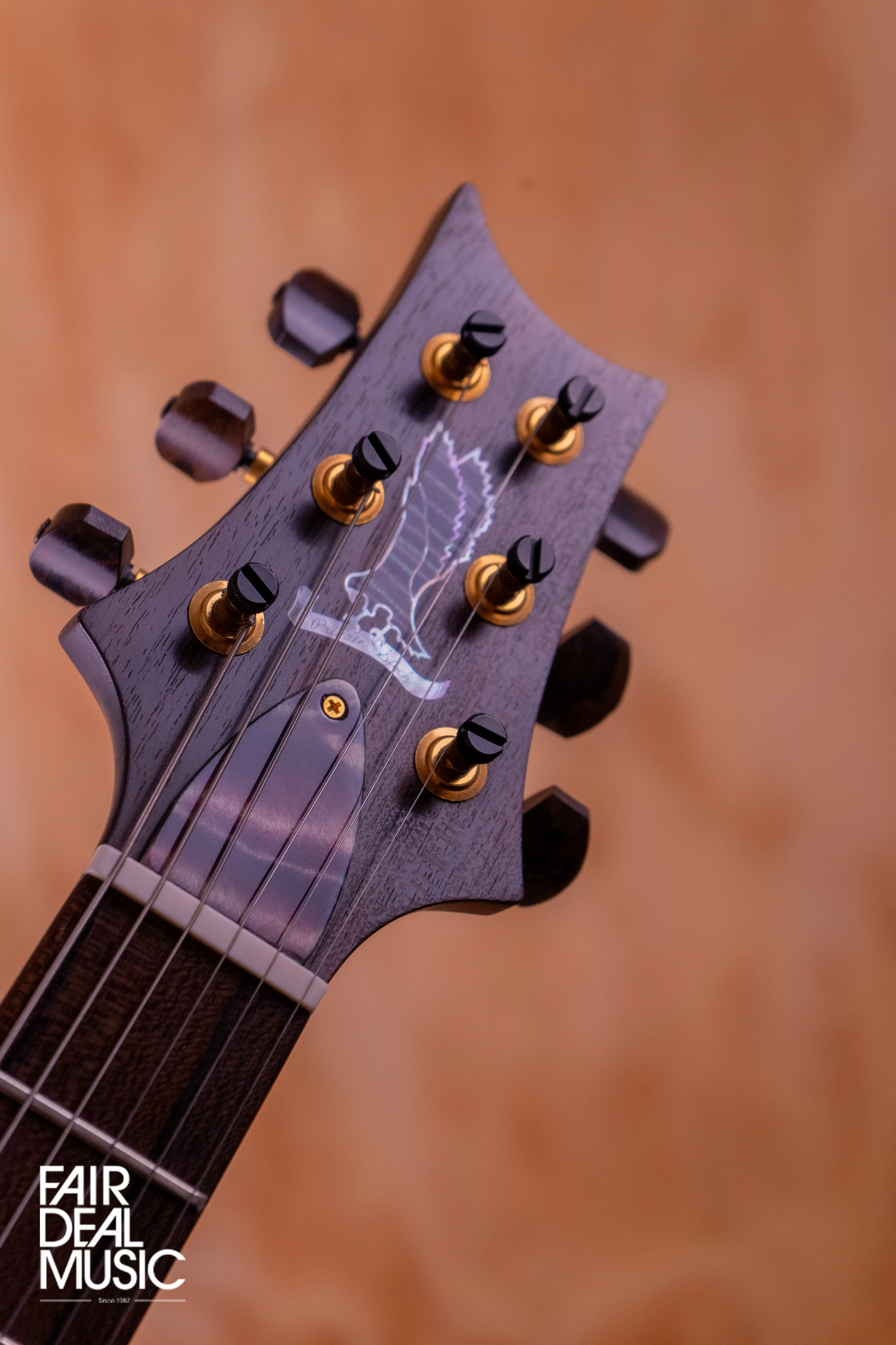 PRS Private Stock McCarty 594 in Northern Lights, USED