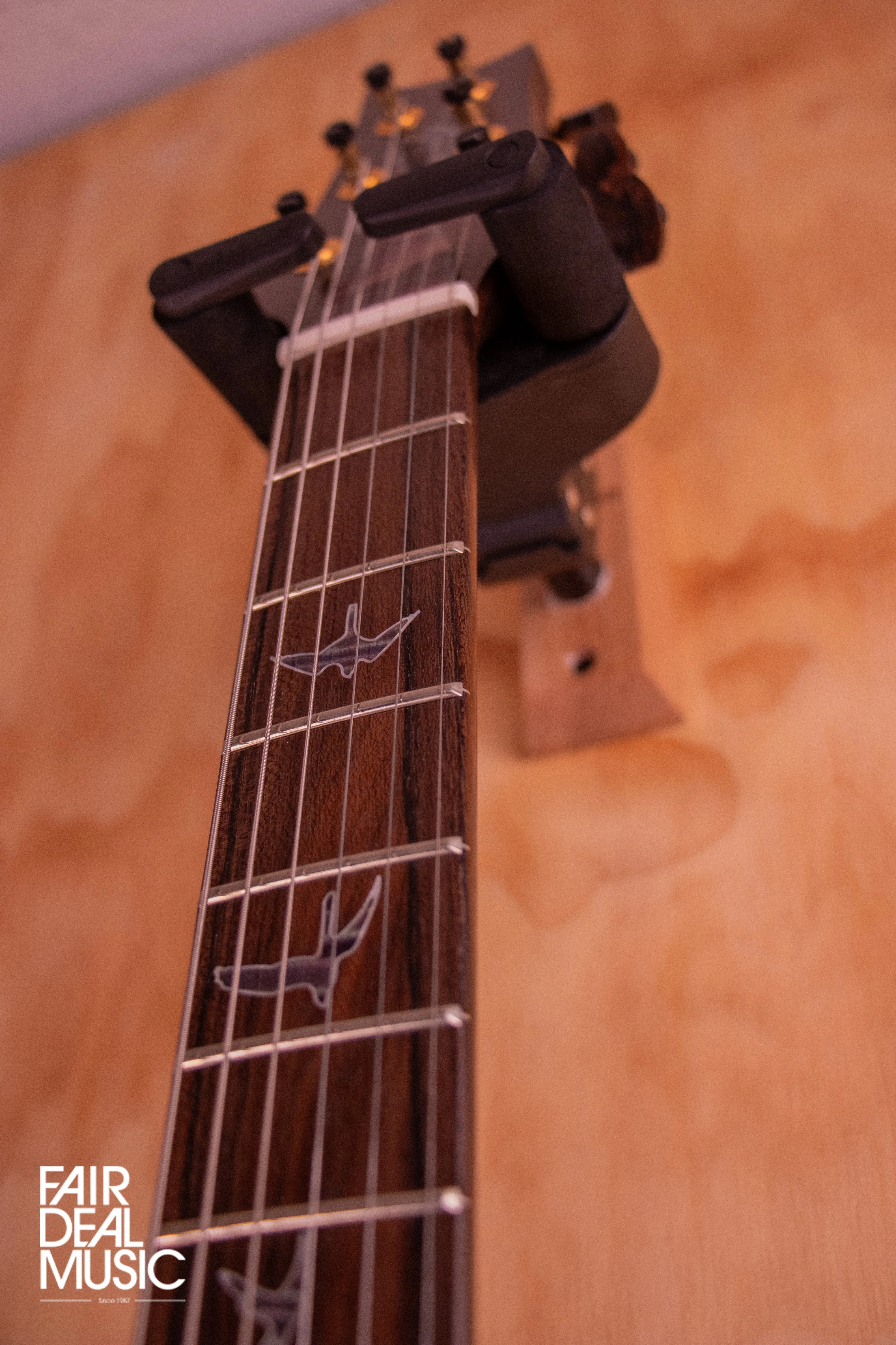 PRS Private Stock McCarty 594 in Northern Lights, USED
