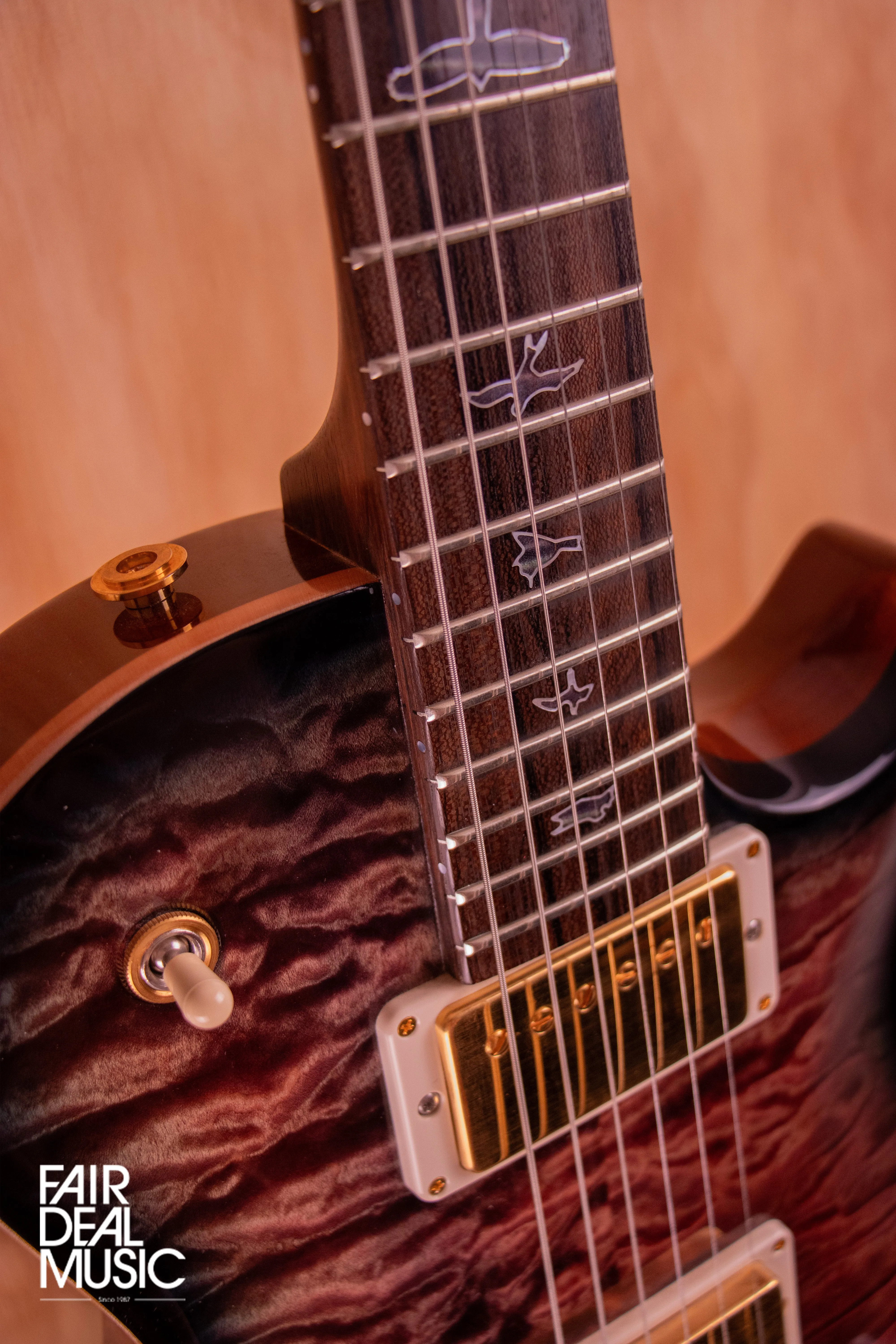 PRS Private Stock McCarty 594 in Northern Lights, USED