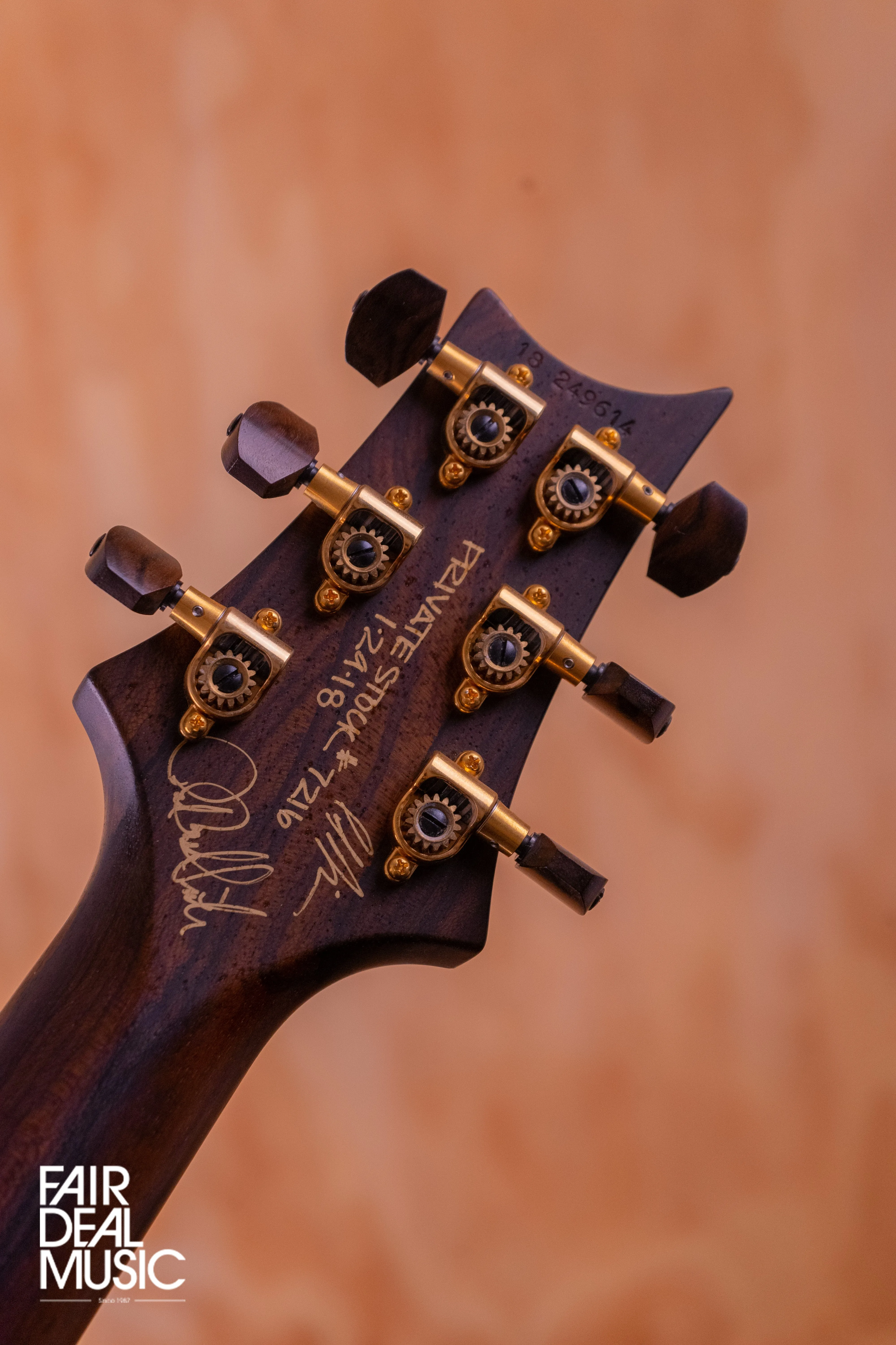 PRS Private Stock McCarty 594 in Northern Lights, USED