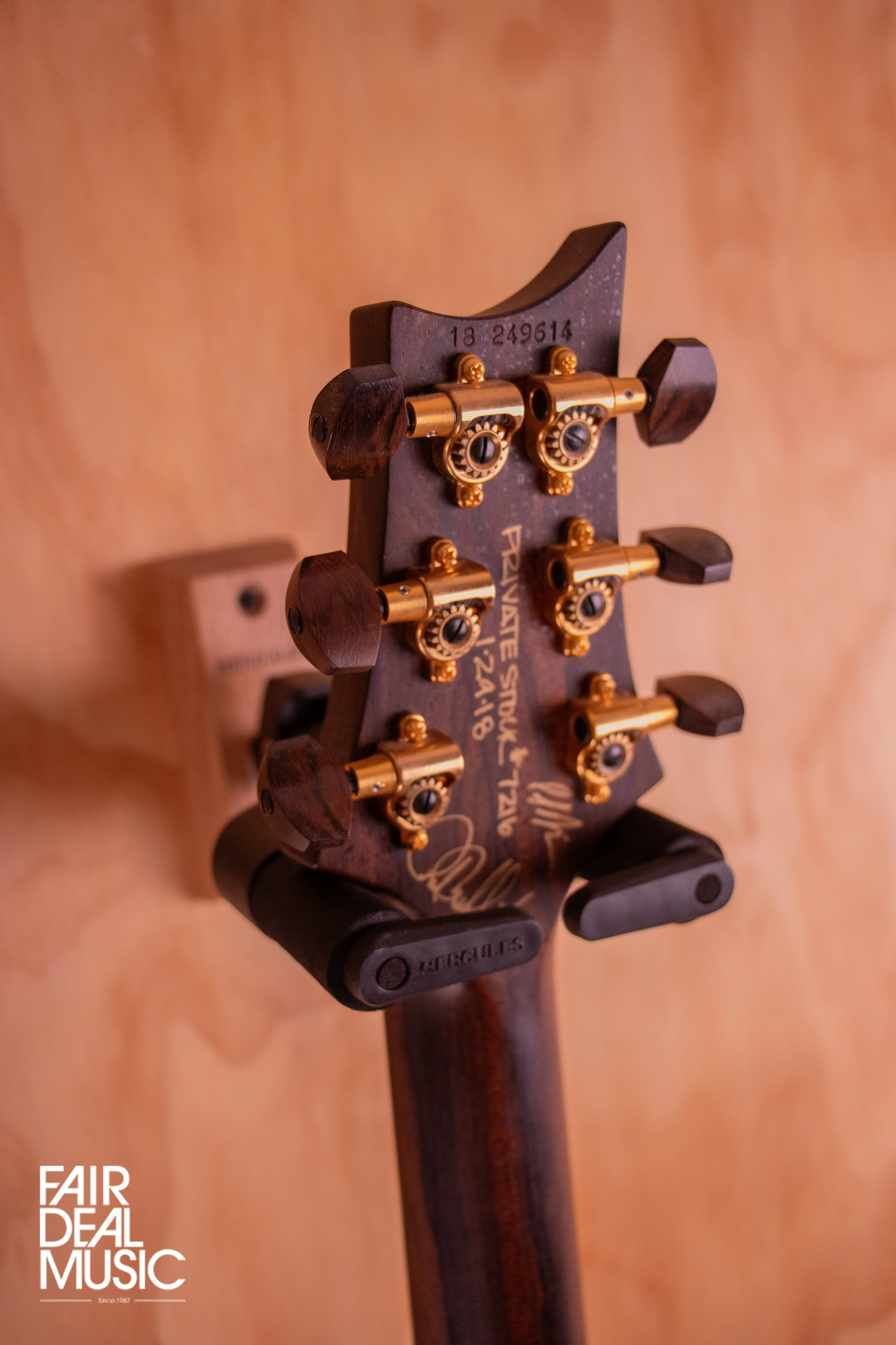 PRS Private Stock McCarty 594 in Northern Lights, USED