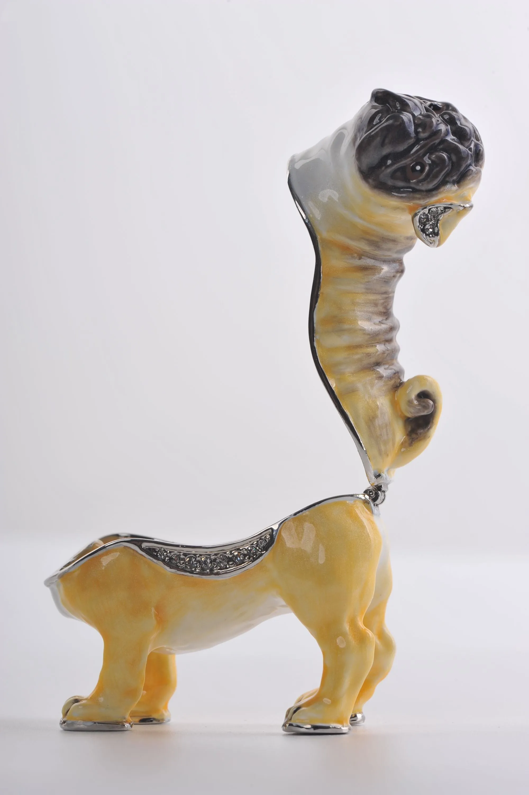 Pug Dog