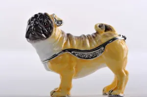 Pug Dog