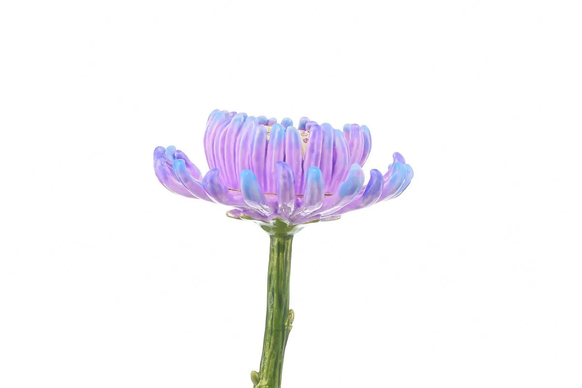 Purple Flower