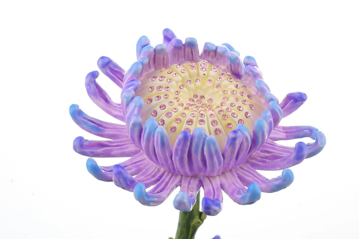 Purple Flower