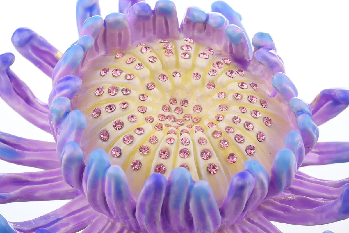 Purple Flower