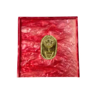 Raspberry Cocktail Napkin Holder- Topiary