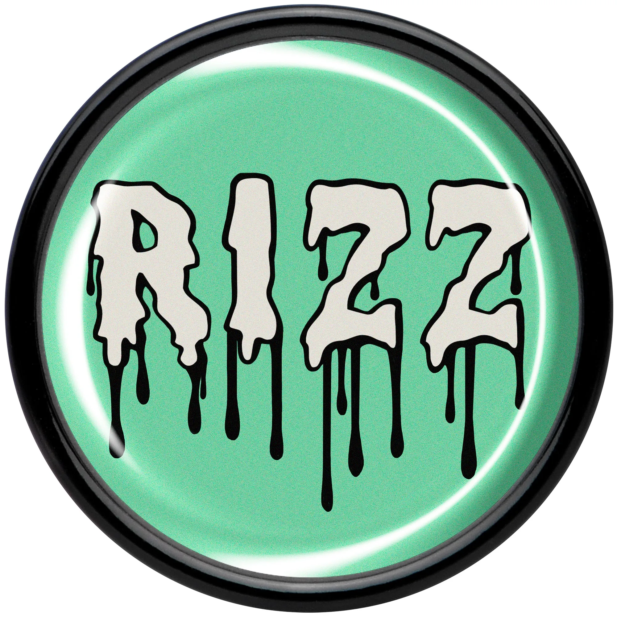 RIZZ Black Acrylic Saddle Plug Set