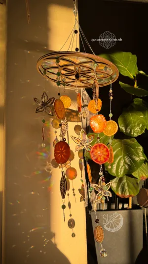 Sacred Fruit Citrus Mobile