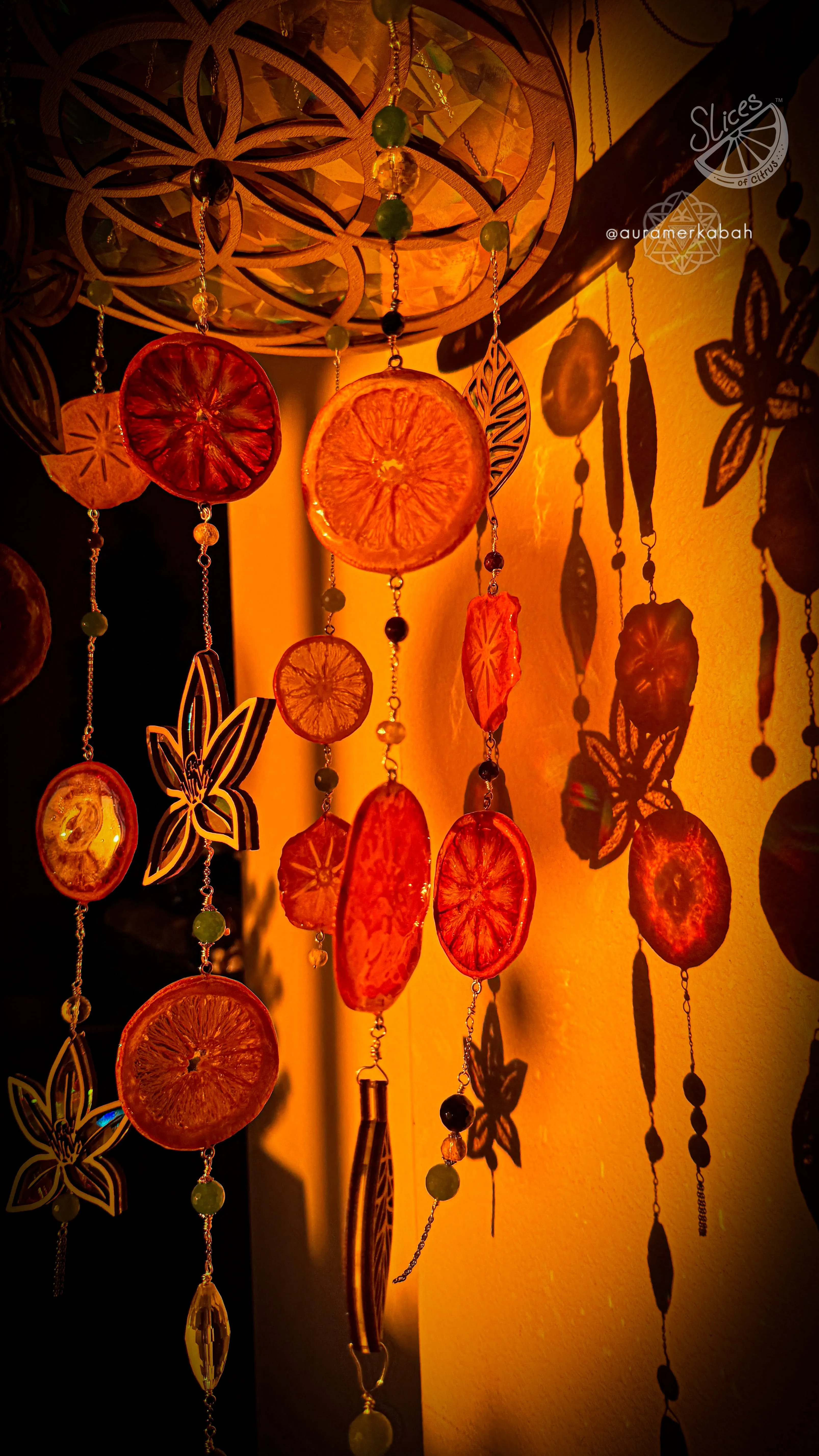 Sacred Fruit Citrus Mobile