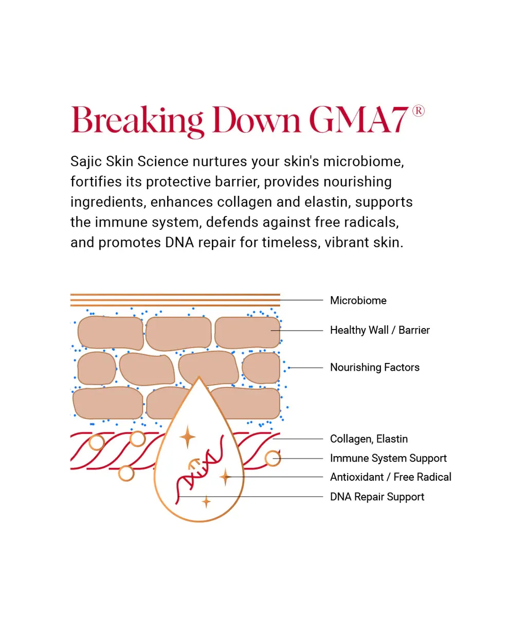 Sajic Skin PROTECTIF FAIR TINT
