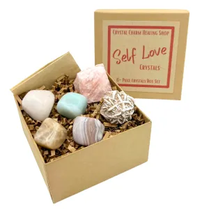 Self Love 6-Crystals | Healing Stones Gift Set for Self Care, Friendship, Valentine's, & Love | Moonstone, Rose Quartz, Amazonite, Botswana Agate, Snow Quartz, & Desert Rose