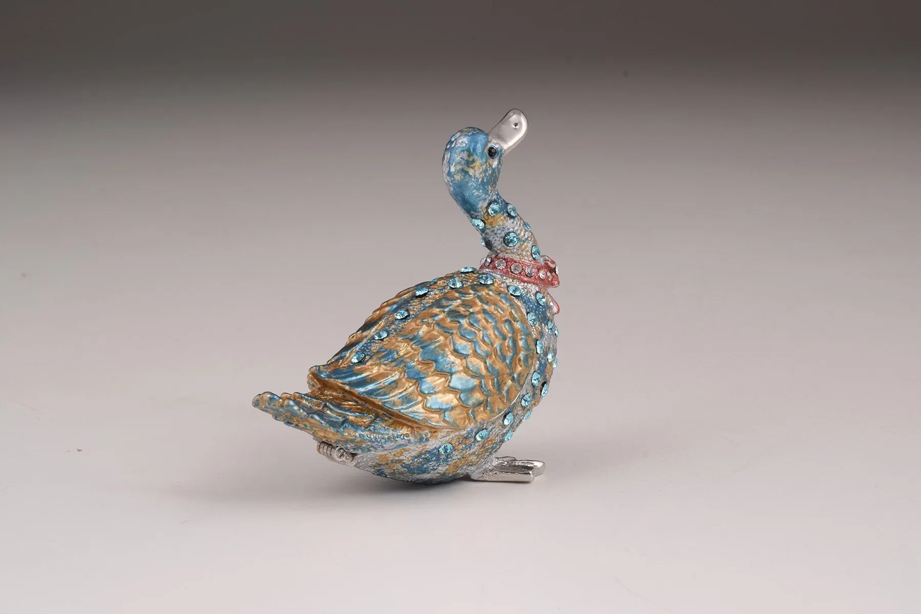Silver Duck