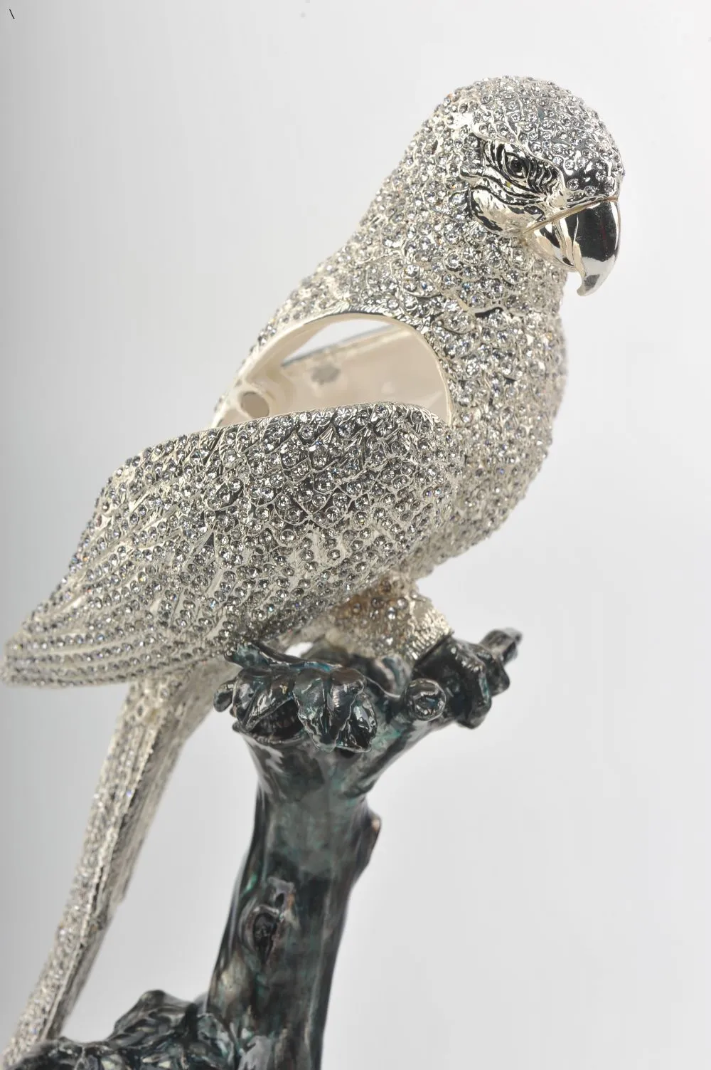 Silver Parrot