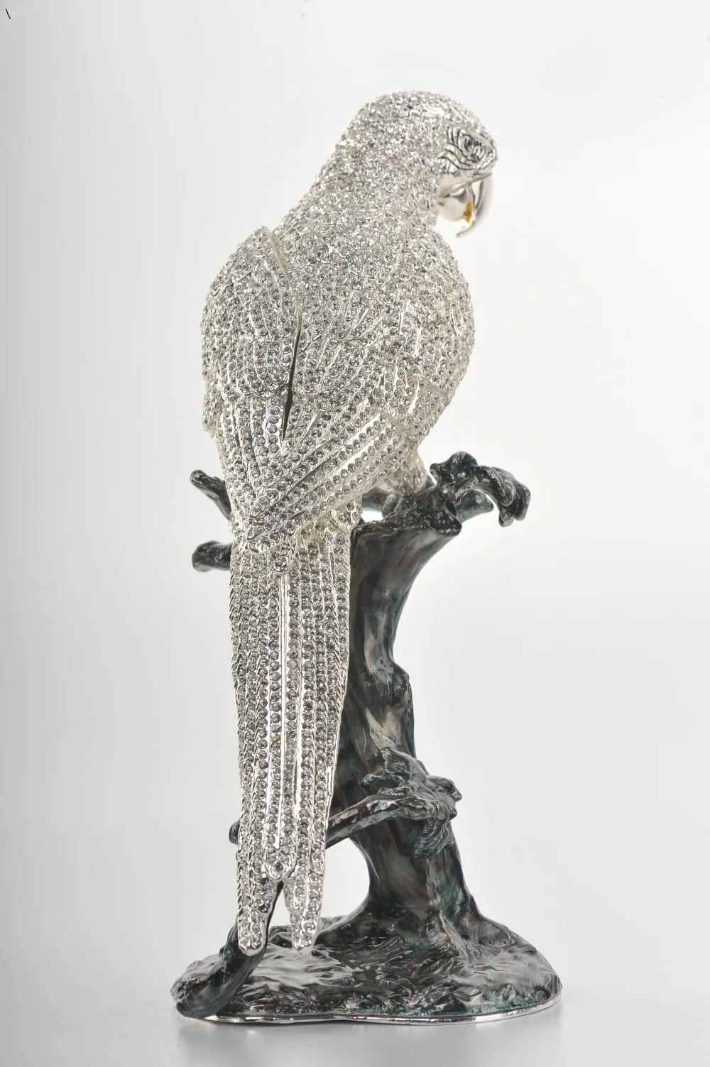 Silver Parrot