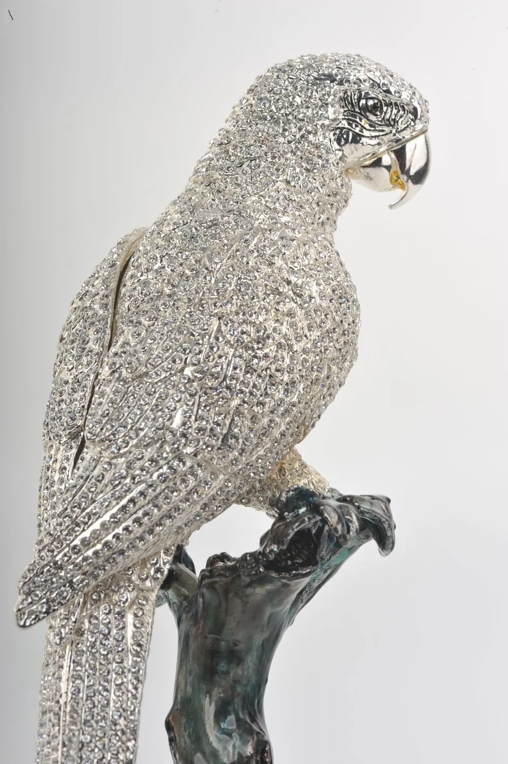 Silver Parrot