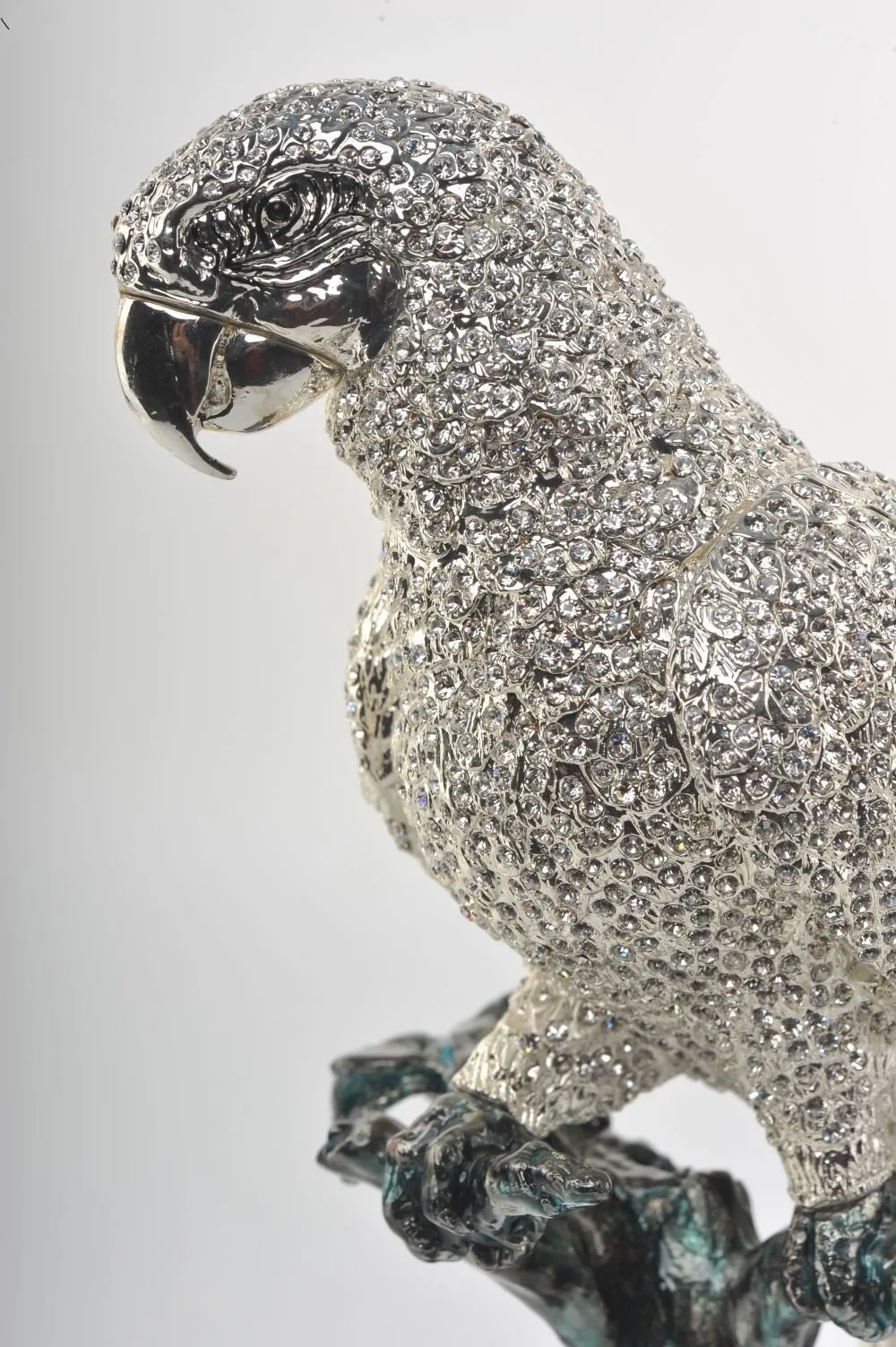 Silver Parrot