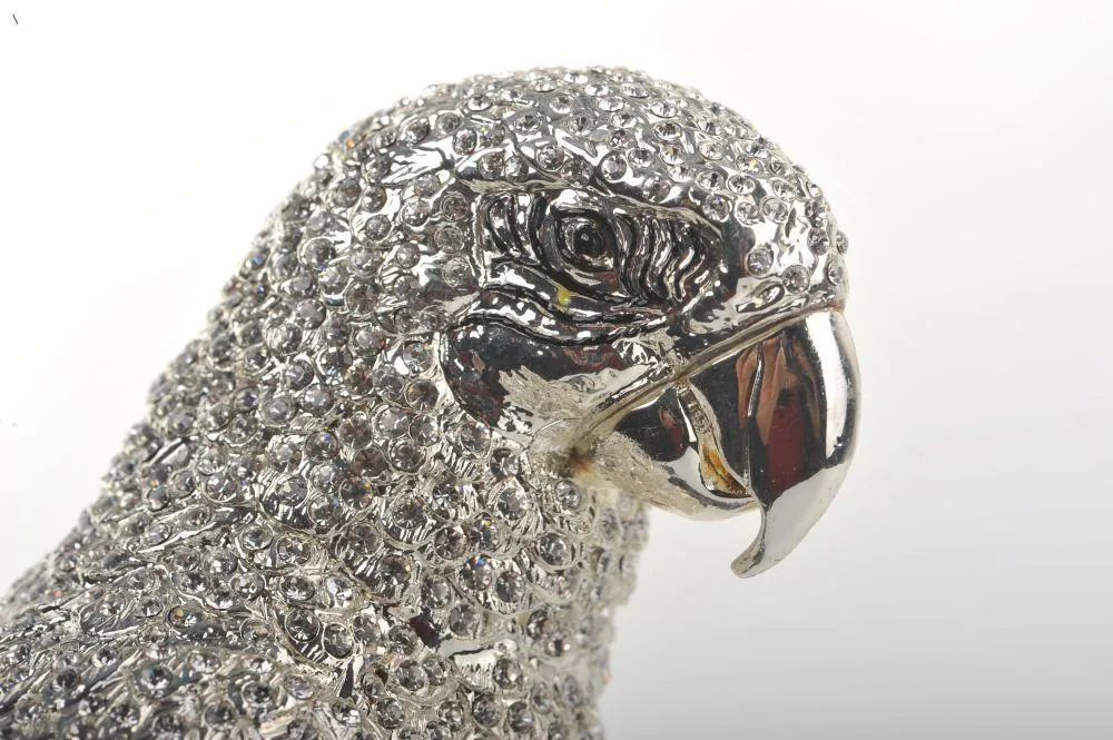 Silver Parrot