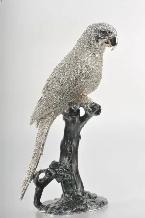 Silver Parrot