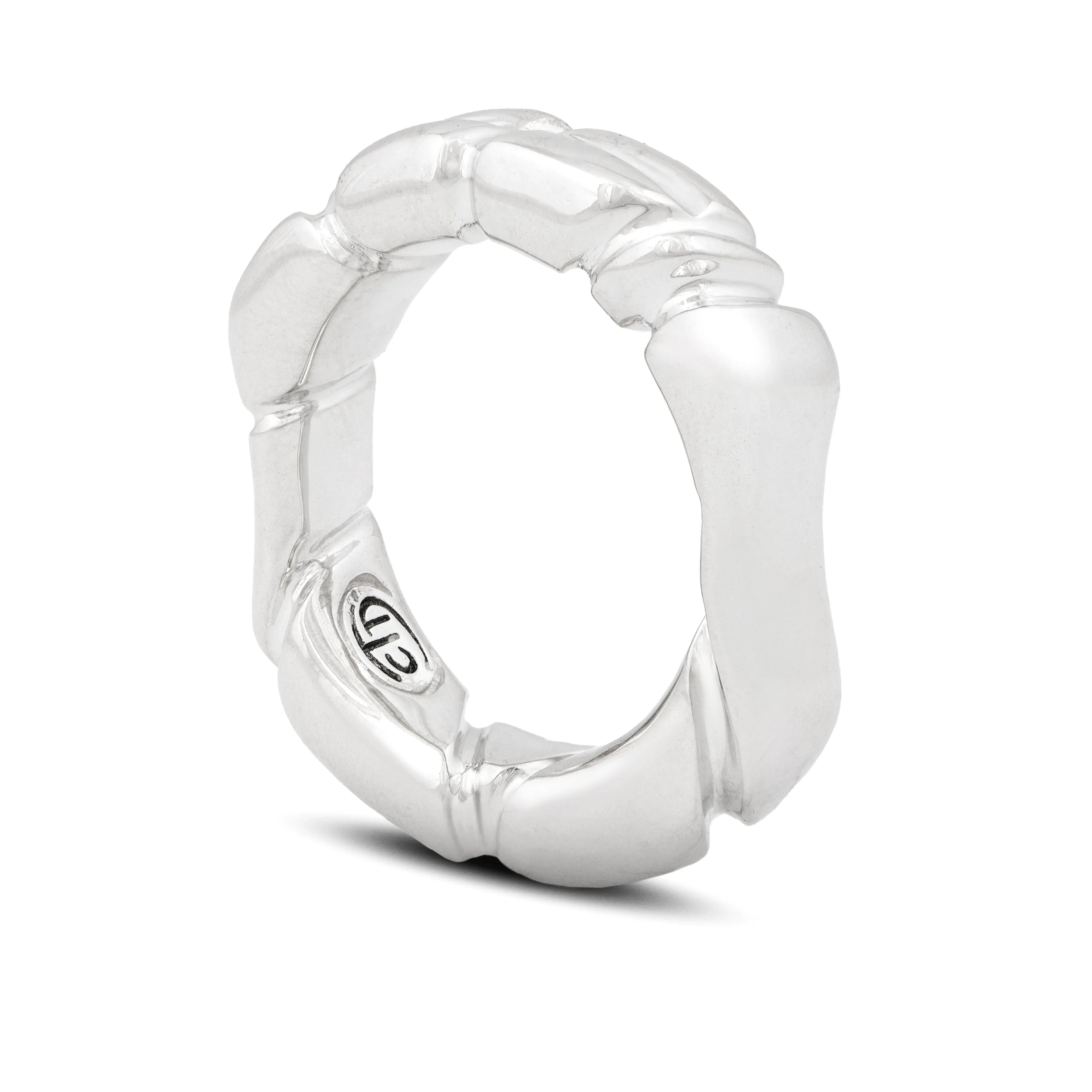 Silver Ring "The power of the universe"