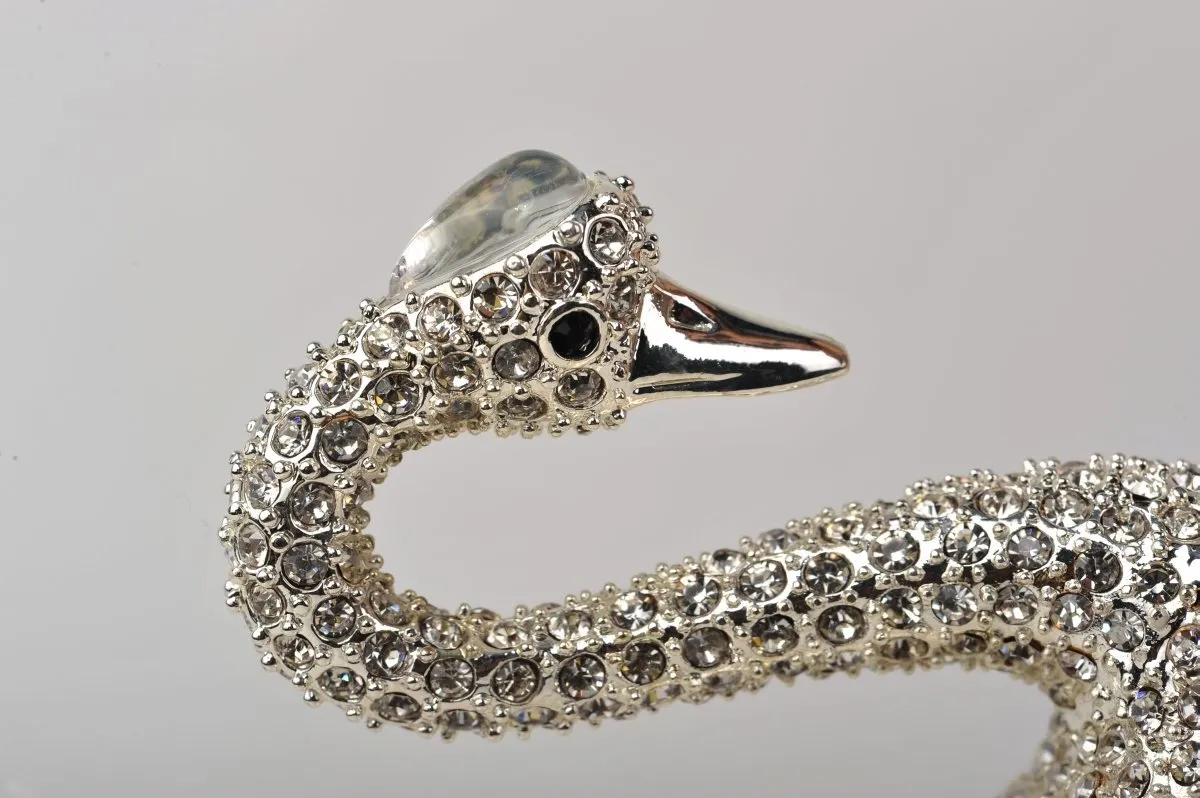 Silver White Swan