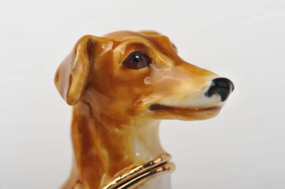 Sitting Dog