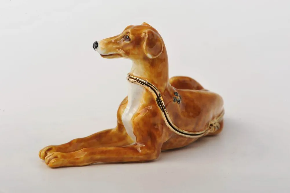 Sitting Dog