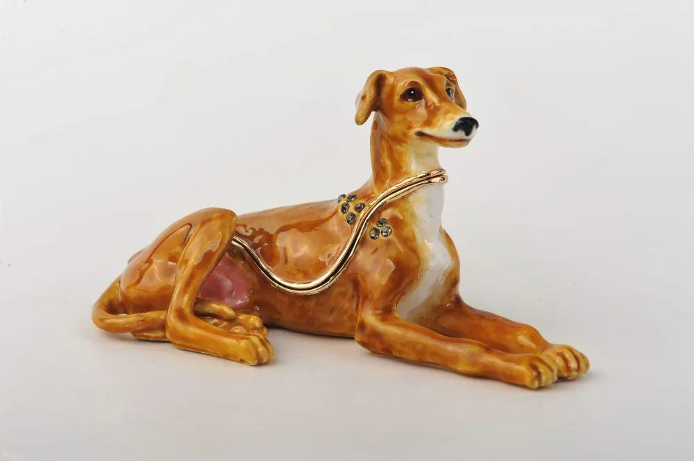 Sitting Dog