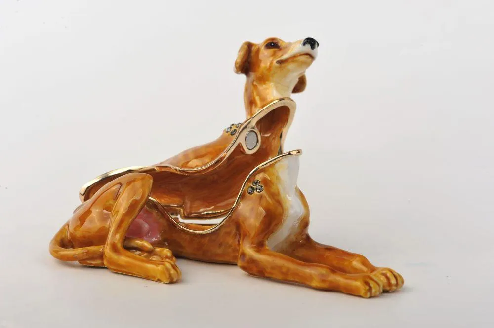 Sitting Dog