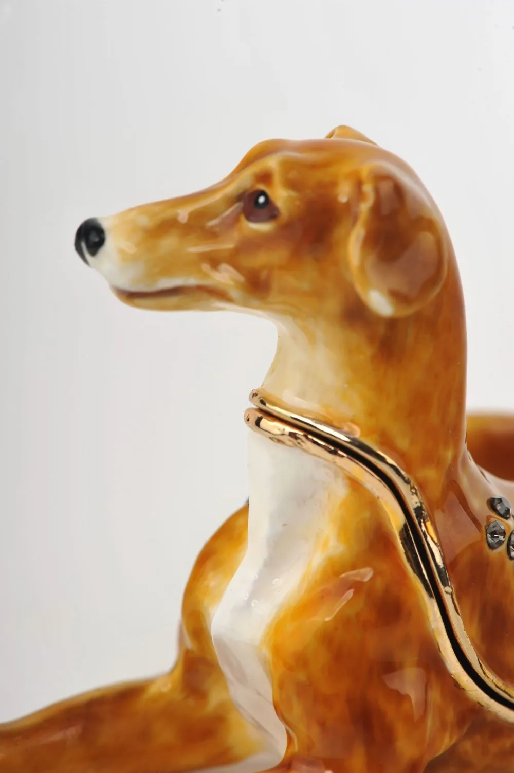 Sitting Dog