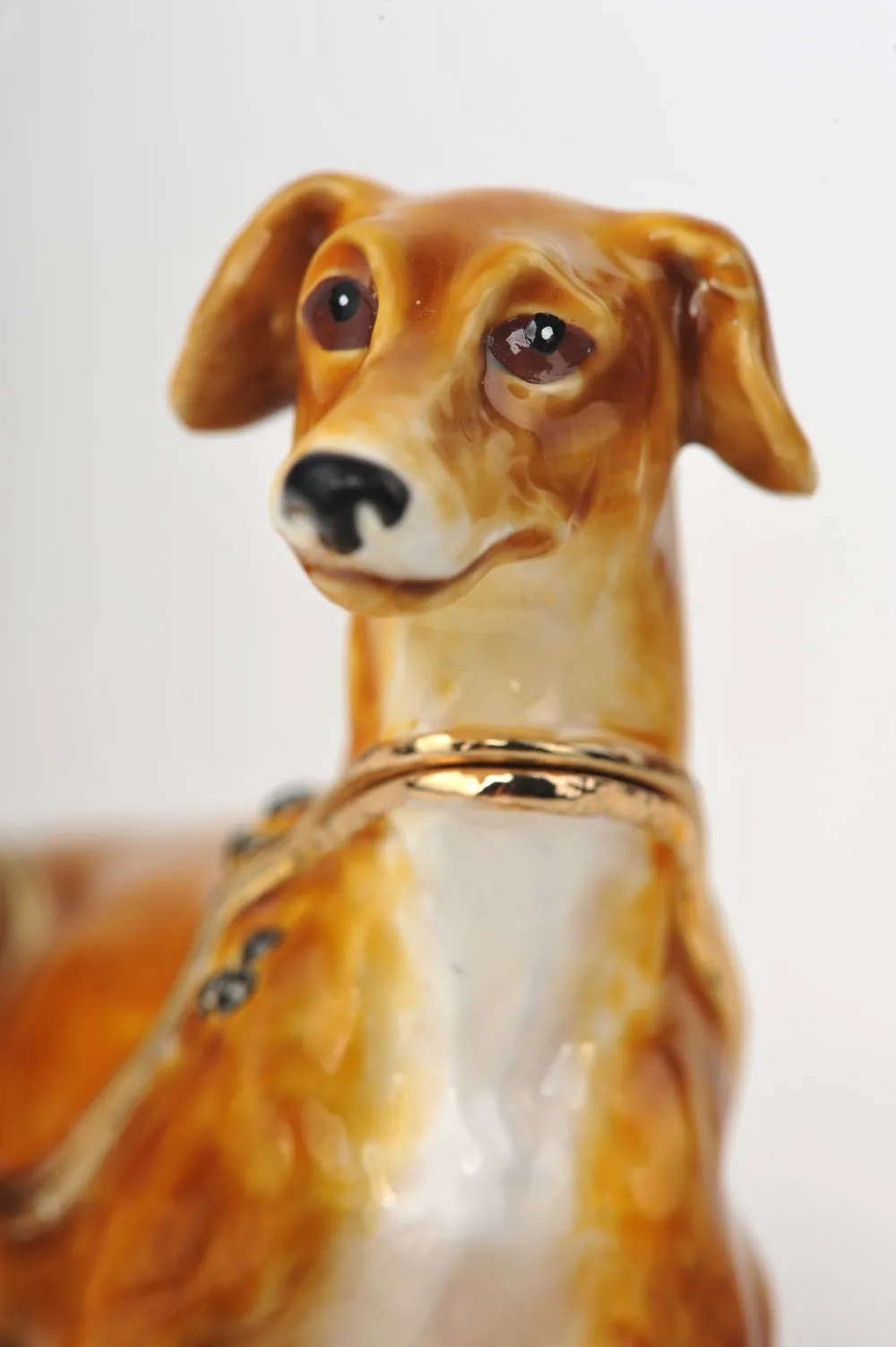 Sitting Dog