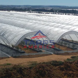 Solarig Classic 156 Woven Plastic Greenhouse Cover/Film