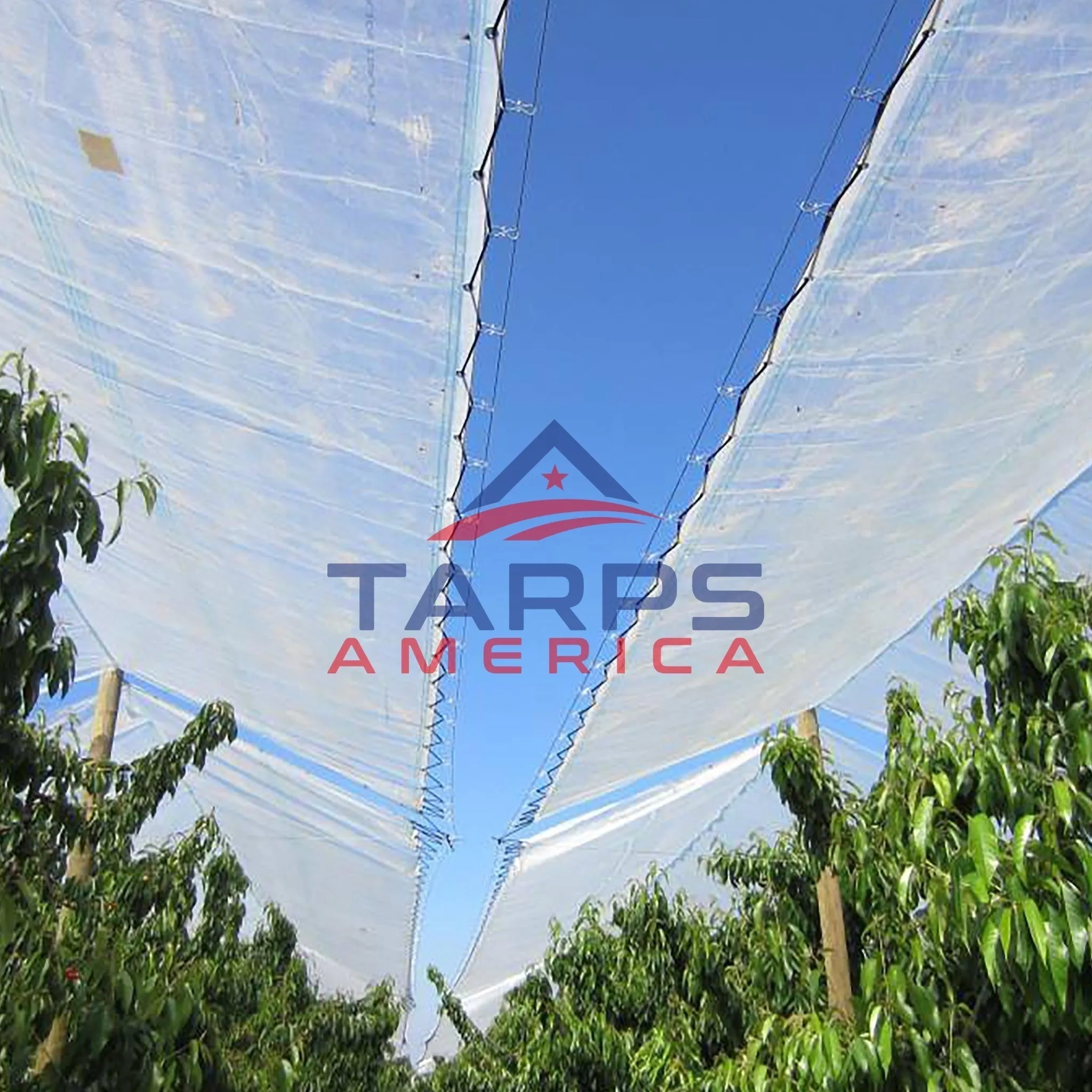 Solarig Classic 156 Woven Plastic Greenhouse Cover/Film