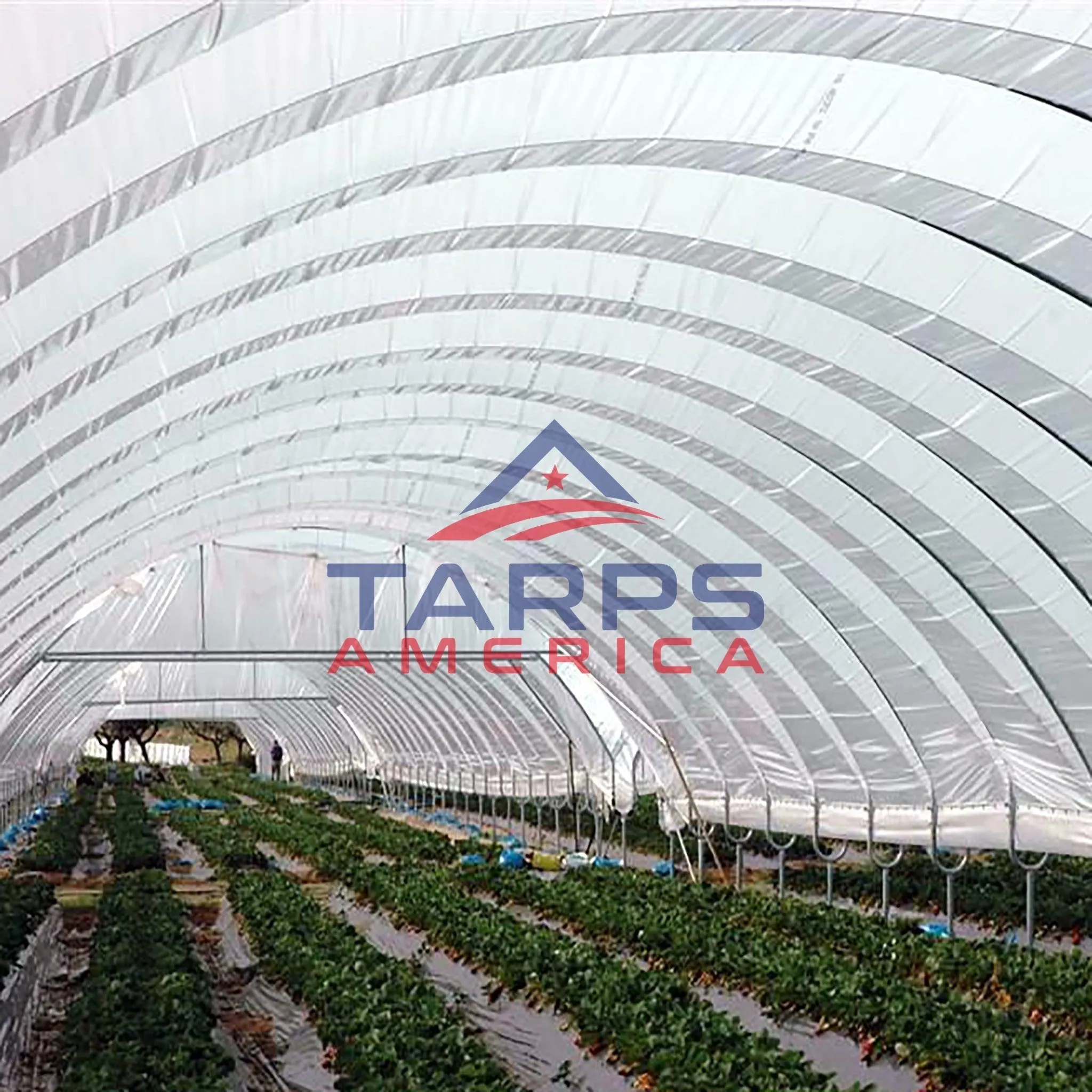Solarig Classic 156 Woven Plastic Greenhouse Cover/Film