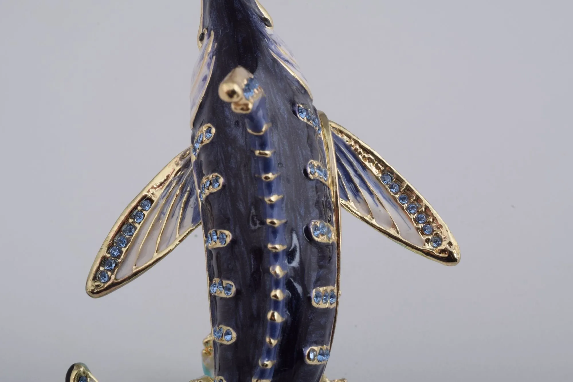Swordfish in the Sea