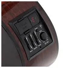 Takamine GC5CE-NAT