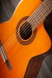 Takamine GC5CE-NAT